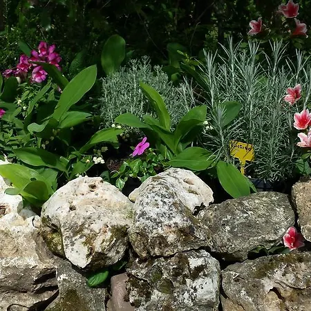 Bed & Breakfast Ma Maison Pianoro